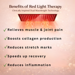 Masovi Red Light Belt Masovi